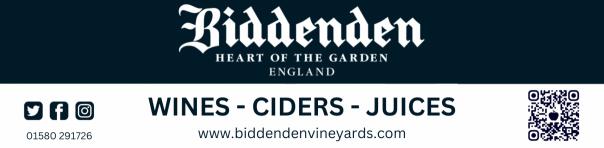 Biddenden_match